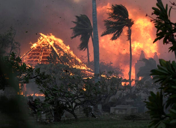 Korban Tewas Karhutla Hawaii Tembus 93 Orang