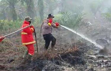 Terbaru Kampar, Sudah 9 Daerah di Riau Siaga Darurat Karhutla