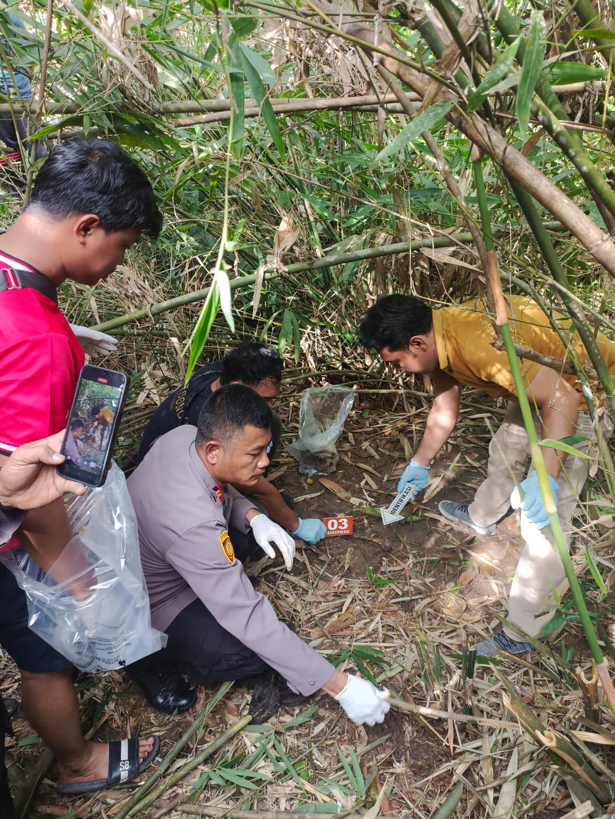 Tengkorak Manusia Ditemukan di Kebun Sawit Inhu