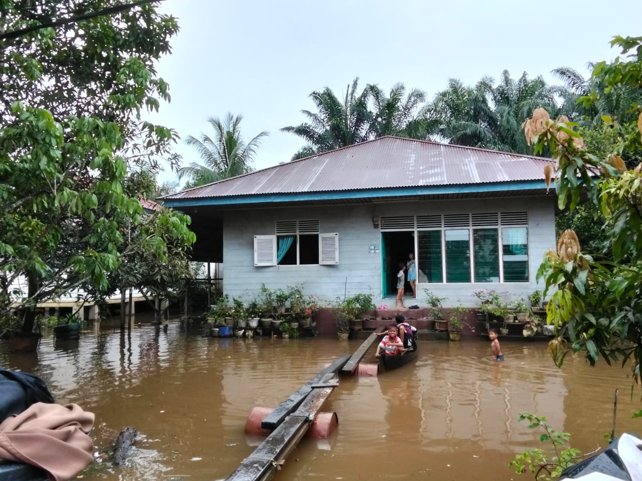 11.564 Jiwa Di Pelalawan Terdampak Banjir