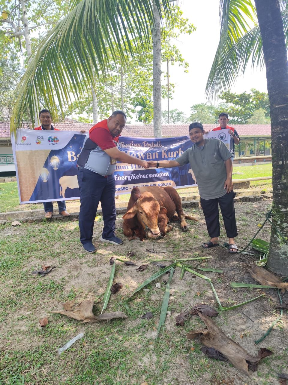 Salurkan 514 Hewan Kurban, PHR Regional Sumatera Berbagi ke Masyarakat di Wilayah Operasi