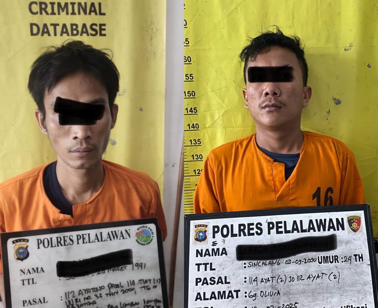 Satresnarkoba Polres Pelalawan Ringkus Dua Pelaku Narkoba