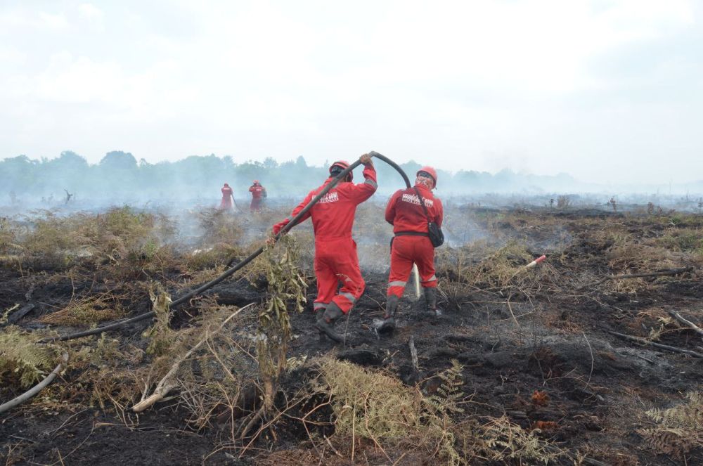 Potensi Kemarau Panjang, DLHK Lakukan Sejumlah Langkah Antisipatif