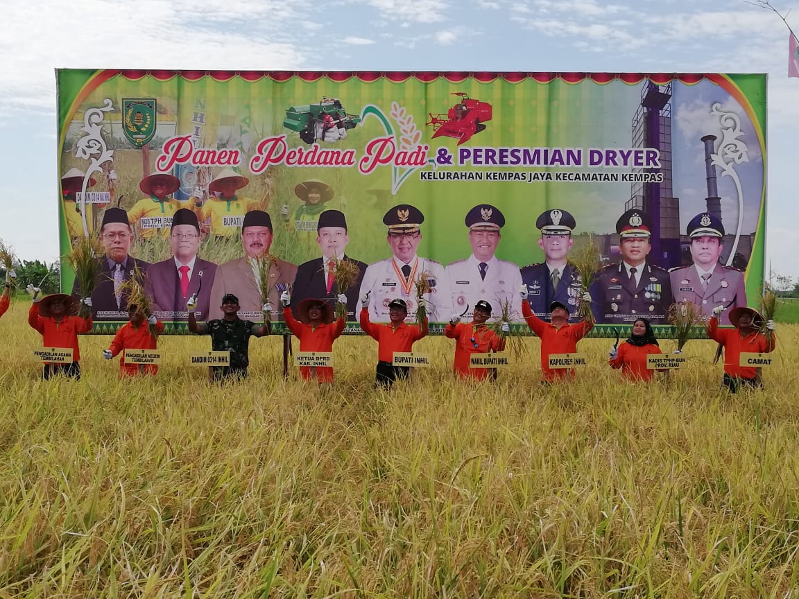 Bupati Komitmen Pertahankan Predikat Kabupaten Inhil Sebagai Lumbung Padi Riau